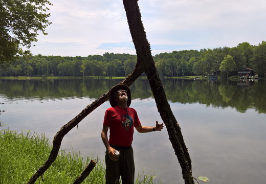 WP-20180810-11-17-43-Pro