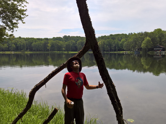 WP-20180810-11-17-43-Pro