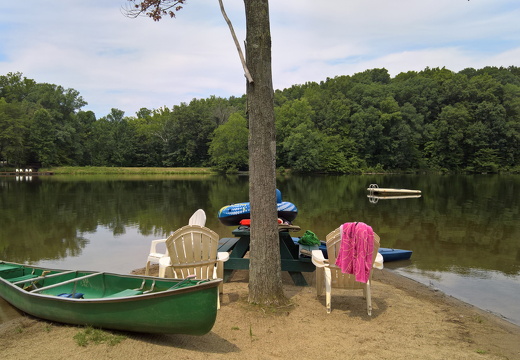 WP-20180810-12-38-59-Pro