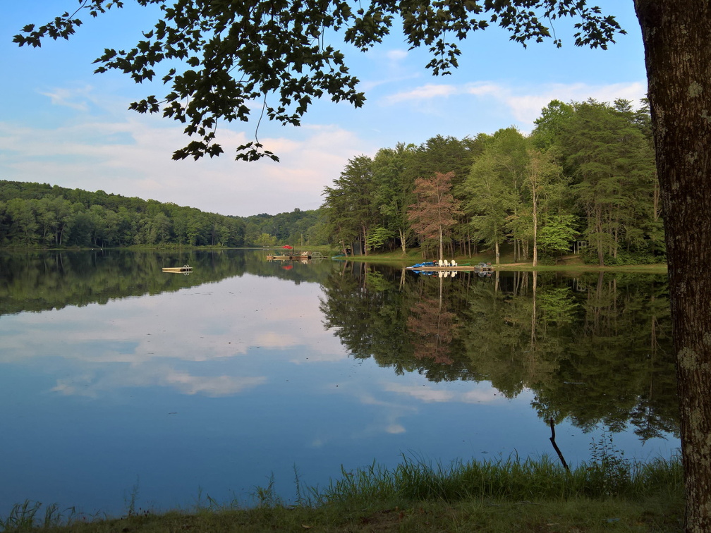 WP-20180810-17-51-42-Rich