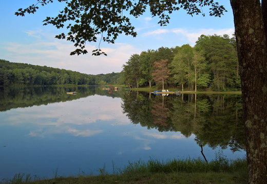 WP-20180810-17-51-42-Rich