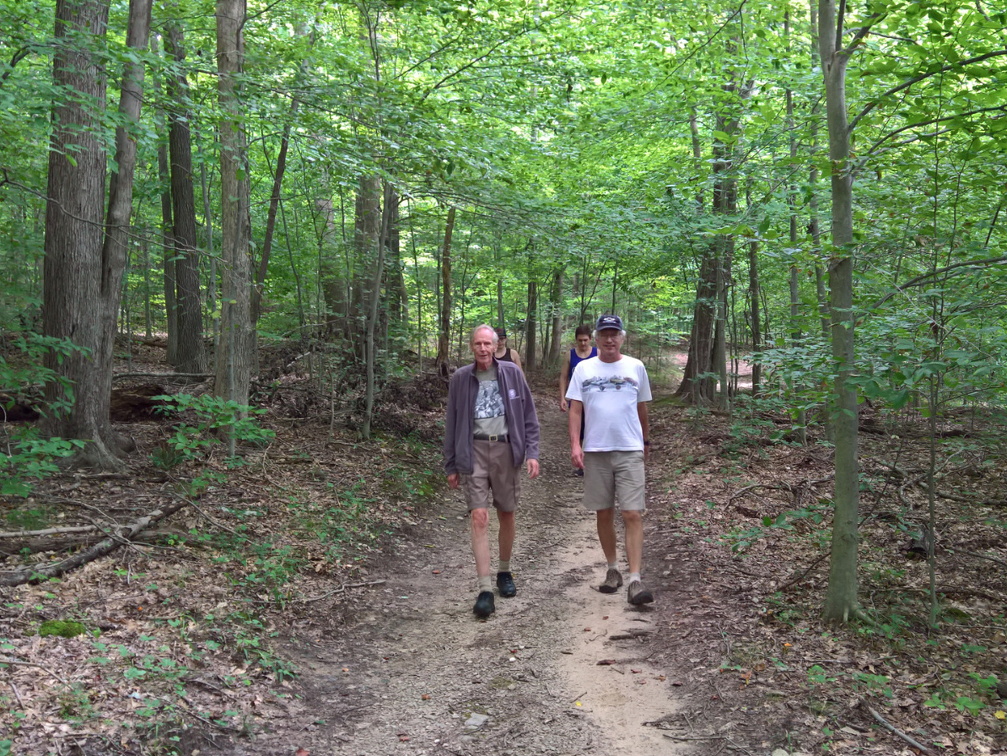 WP-20180811-12-03-28-Rich