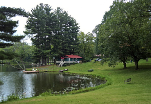 WP-20180811-12-21-13-Rich