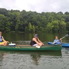 WP-20180811-16-07-44-Pro