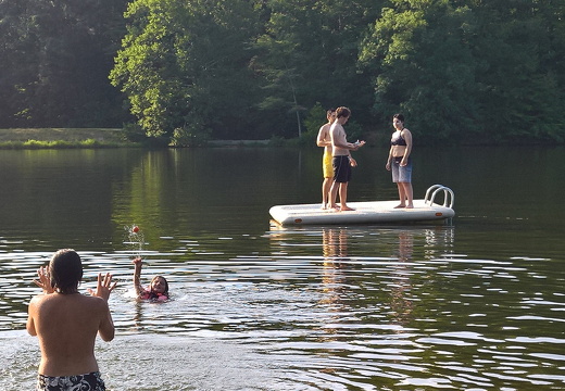 WP-20180811-18-29-55-Pro