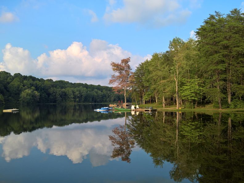 WP-20180811-19-10-18-Pro