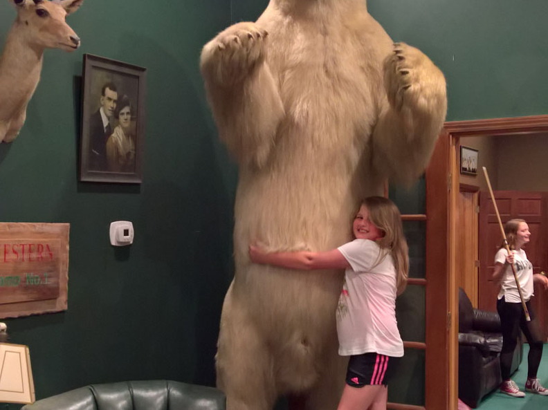 WP-20180811-20-58-04-Pro