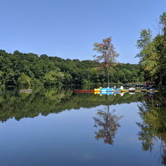 00000PORTRAIT-00000-BURST20190810140758118