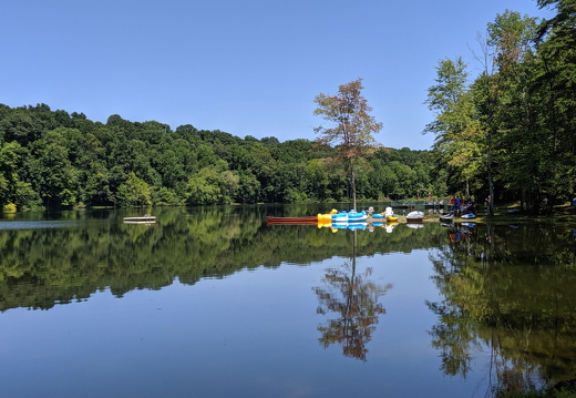 00000PORTRAIT-00000-BURST20190810140758118