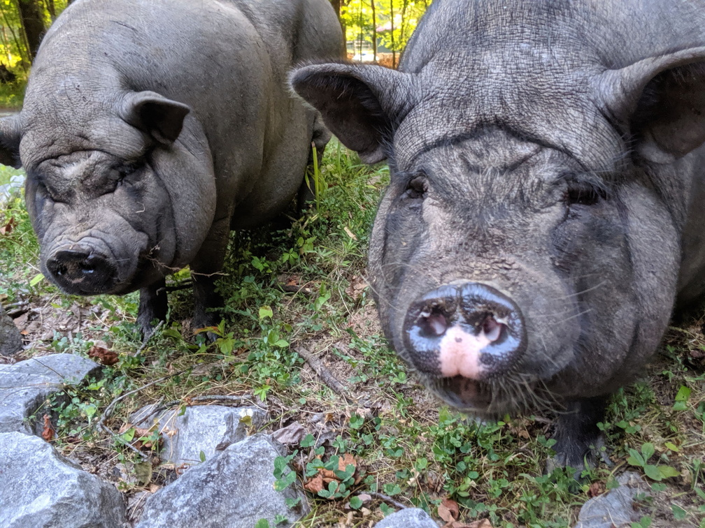 00000PORTRAIT-00000-BURST20190810193011394