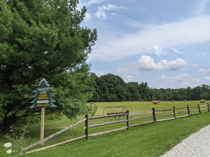 PXL 20210812 200429144