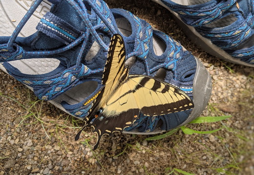 PXL 20210813 165214778-PORTRAIT