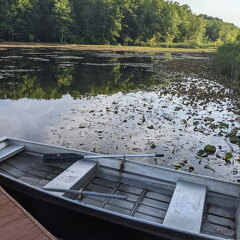 PXL 20210814 122920896