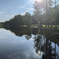 PXL 20210814 131136477