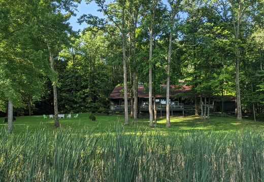 PXL 20210814 131146744