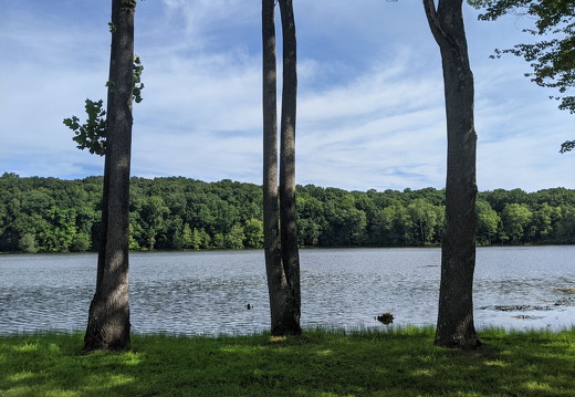 PXL 20210814 143850874