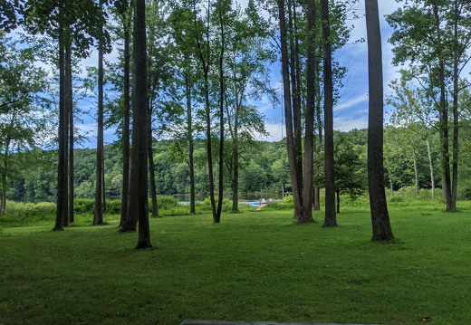 PXL 20210814 184729109