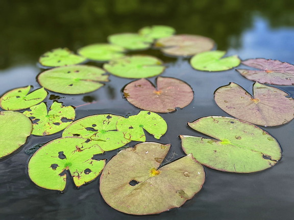 PXL 20210814 190056582-PORTRAIT-01