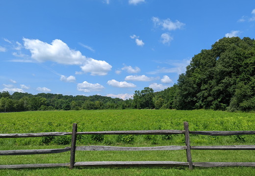 PXL 20220811 184625149