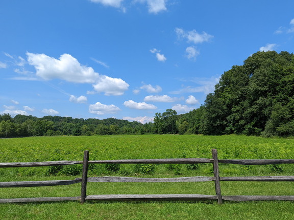 PXL 20220811 184625149