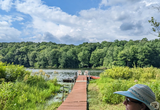 PXL 20220811 203813243