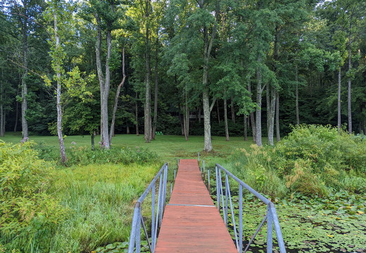 PXL 20220812 121218245