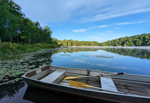 PXL 20220812 121245751