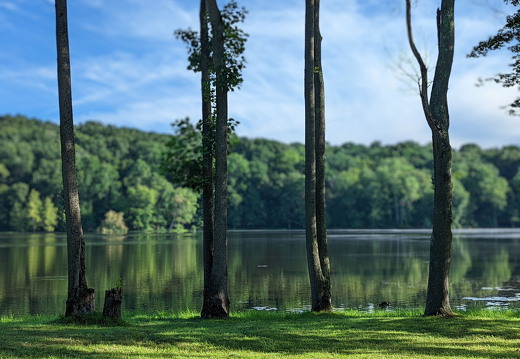 PXL 20220812 132257753 