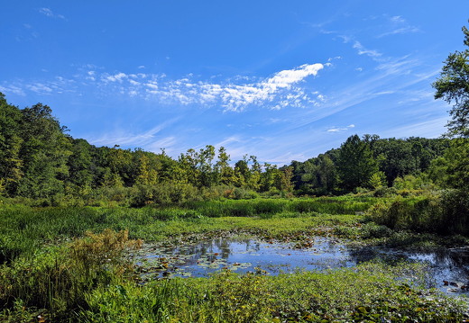 PXL 20220812 142636642 