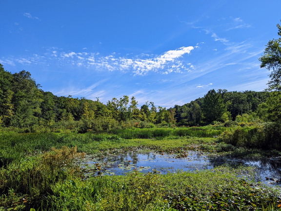 PXL 20220812 142636642 