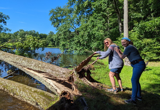 PXL 20220812 143936469