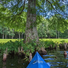 PXL 20220812 182635471