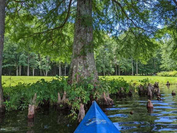 PXL 20220812 182635471