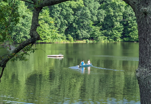 PXL 20220813 142633820