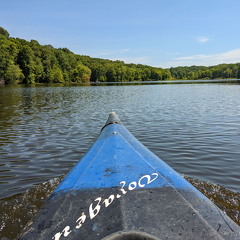 PXL 20220813 163417409