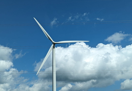 PXL 20230817 193222443