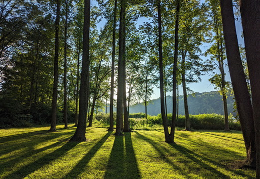 PXL 20230817 233949372