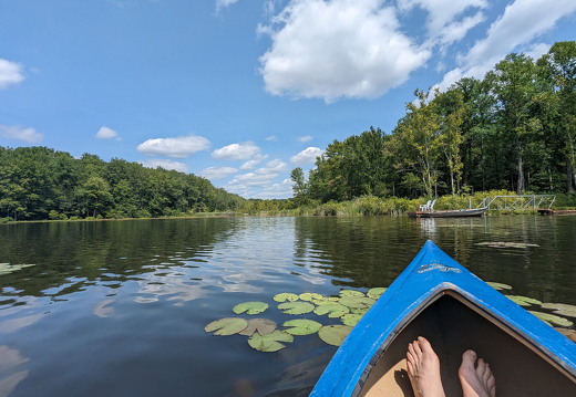 PXL 20230818 185059836