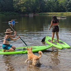 PXL 20230818 194220199