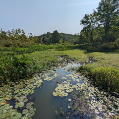 PXL 20230819 151555327