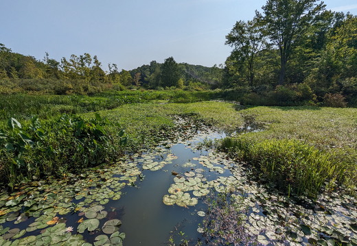 PXL 20230819 151555327