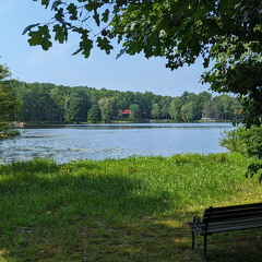 PXL 20230819 152254384.PORTRAIT.ORIGINAL