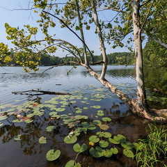 PXL 20230819 152920056