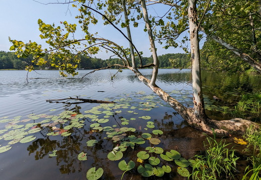 PXL 20230819 152920056