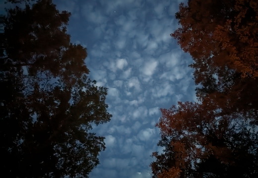 PXL 20230820 012858809.NIGHT