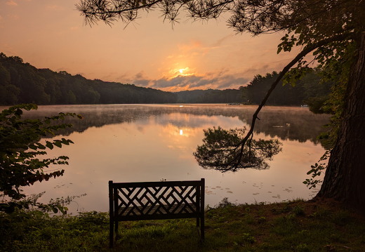 PXL 20240809 113521875