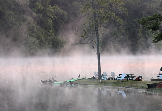 PXL 20240811 111627468