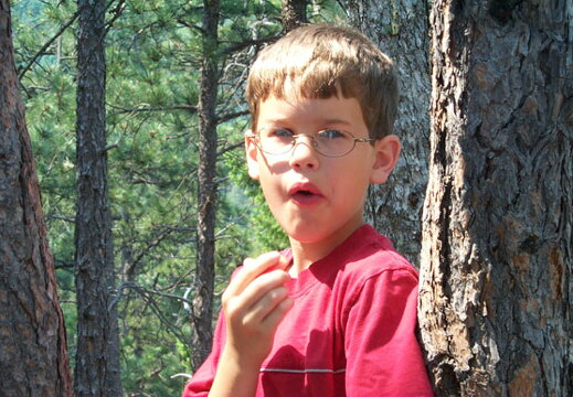 greenmountain-ezra-062102