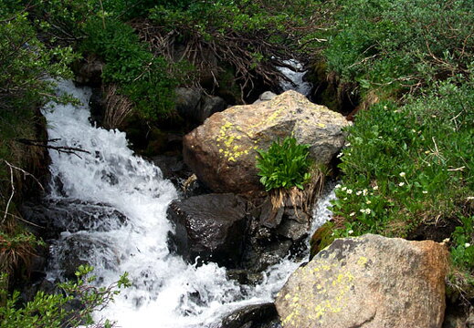 lakeisabelle-creek-062502