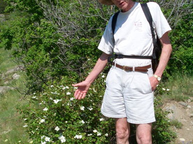 lostlaketrail-miltonflowers-062202